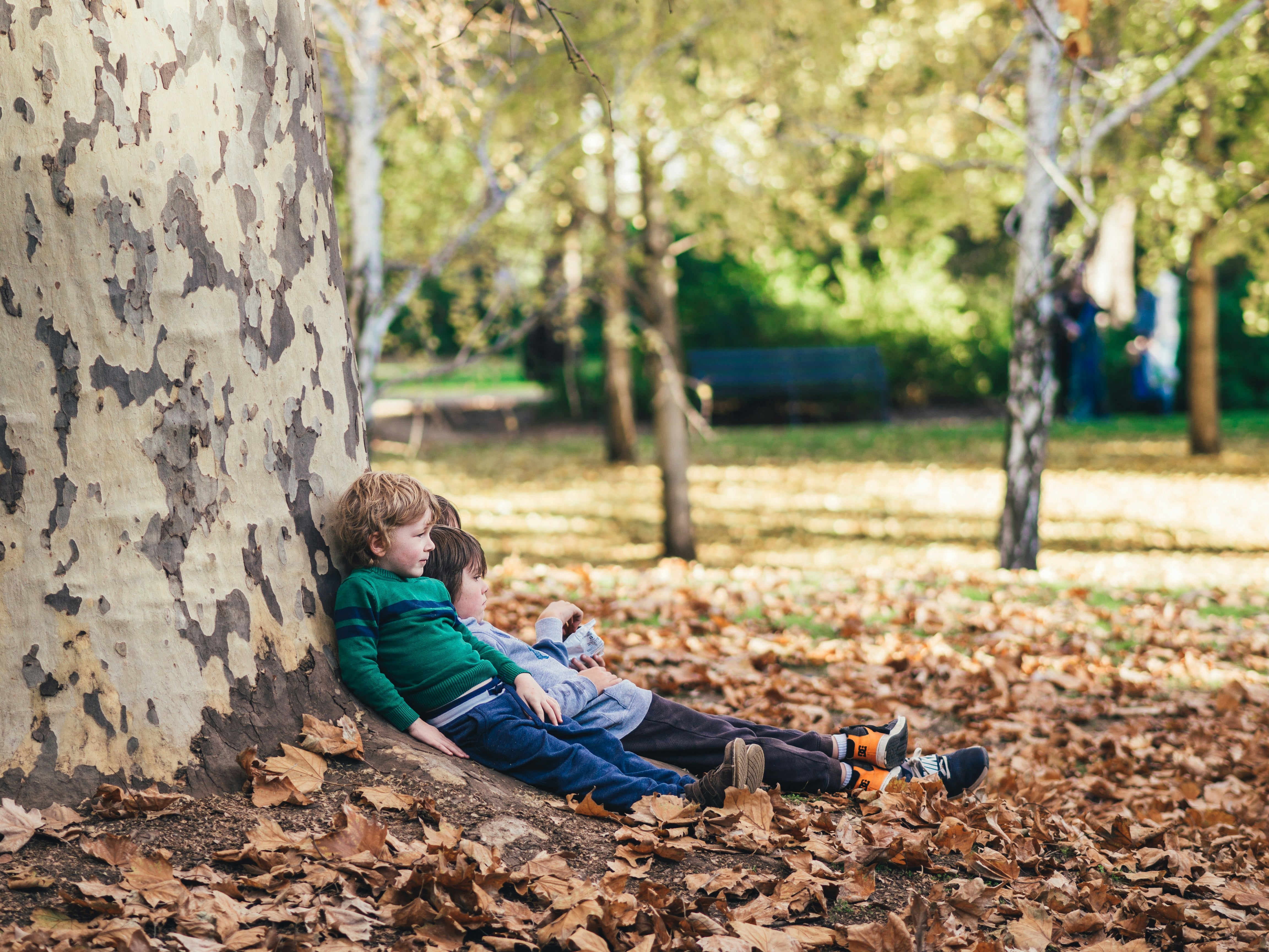 Herbst- und Winteraktivitäten mit Kindern: Ideen für Drinnen und Draußen - Poppeditzje